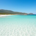 Windsurf, stand up et plongée à Piantarella en Corse : le guide complet pour débutants en paddle